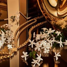 Dolce& Gabbana The One Gold Eau de Parfum Intense