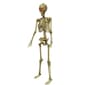 Battery-Operated 60in. Posable Skeleton with Red LED Eyes - image 2