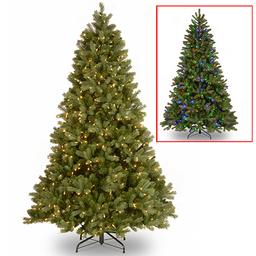 National Tree 7.5ft. Pre-Lit LED Downswept Douglas(R) Fir Tree
