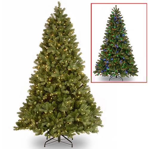 National Tree 7.5ft. Pre-Lit LED Downswept Douglas(R) Fir Tree - image 