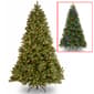 National Tree 7.5ft. Pre-Lit LED Downswept Douglas(R) Fir Tree - image 1