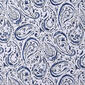 Oceanfront Resort Indienne Paisley Quilt Set - image 2