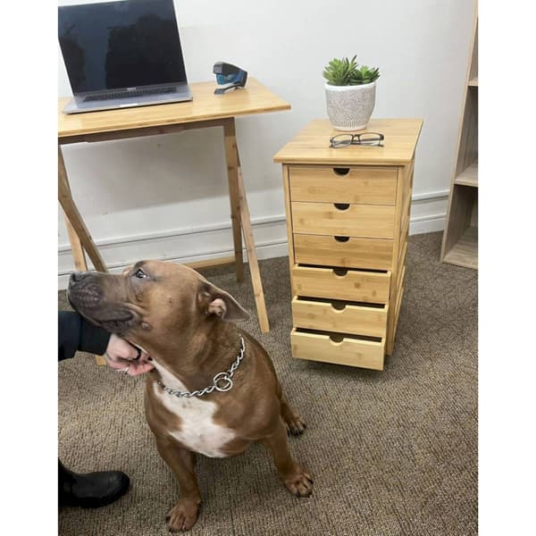 eccostyle™ Solid Bamboo 6 Drawer Rolling Cart