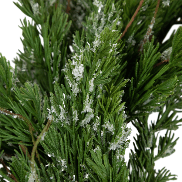 Northlight Real Touch™ 24in. Iced Cedar Christmas Wreath