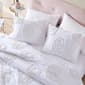 Betsey Johnson Rambling Rose Cotton White Duvet Set - image 3