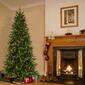 National Tree 7.5ft. Slim Townsend Spruce Christmas Tree - image 2