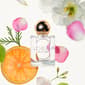 Voesh Seaside Serenity Room & Fabric Fragrance Set - $95 Value - image 10
