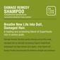 Superfoods Kale Damage Detox Shampoo - image 3