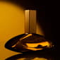 Calvin Klein Euphoria Solar Elixir Parfum Intense - image 5
