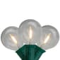 Northlight 10ct. Warm White LED G50 Globe Patio Lights - image 1