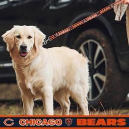 NFL Chicago Bears Dog Leash