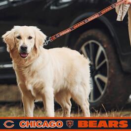 NFL Chicago Bears Dog Leash