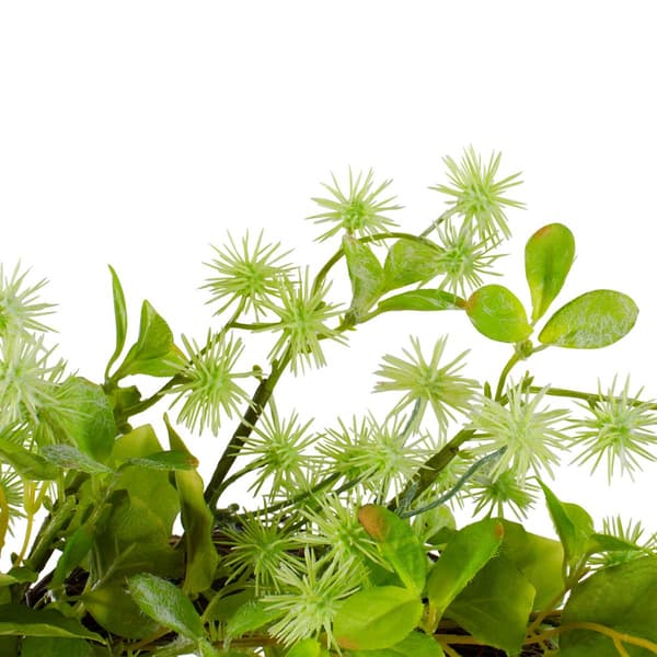 Northlight Seasonal Artificial Jujube Floral &amp; Foliage Wreath