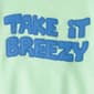 Toddler Boy Carter''s Take It Breezy Ls Pullover Sweatshirt - image 3