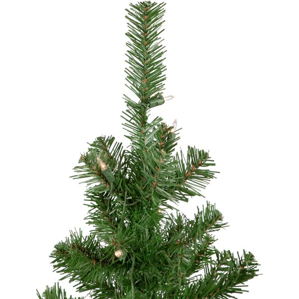 Northlight 5pc. Pre-Lit Wolcott Spruce Christmas Entryway Set