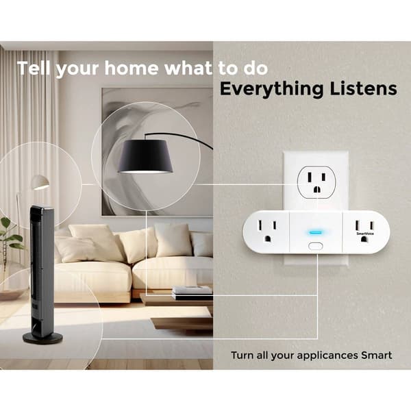 Emerson Smartvoice Dual Outlet Plug