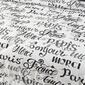 Spirit Linen Home&#8482; 8pc Bed-in-a-Bag French Words Comforter Set - image 4