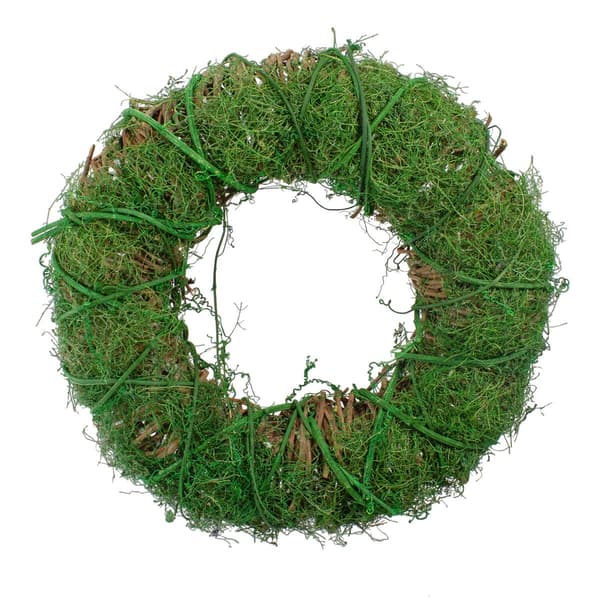 Northlight Seasonal Artificial Green Moss & Twig Spring Wreath - image 