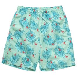 Boys &#40;8-20&#41; Surf Zone Flamingo Swim Shorts