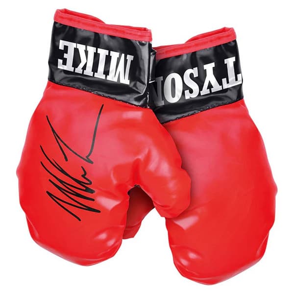World Tech Toys Mike Tyson Kids Boxing Set