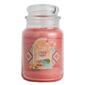 Yankee Candle&#40;R&#41; 22oz. Capri Glow Jar Candle - image 1