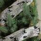 Northlight Seasonal 30ft. Playful Reindeer Wired Craft Ribbon - image 3