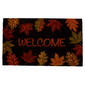 Nourison Welcome Harvest Coir Doormat - image 1