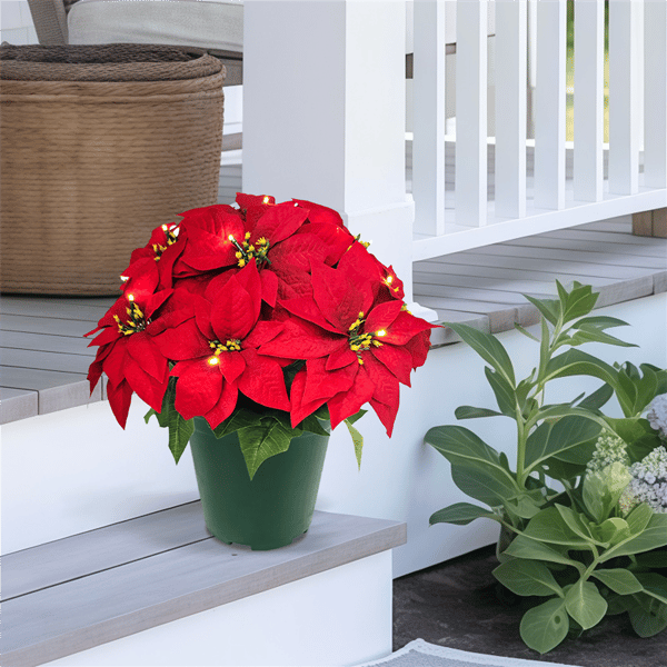 Puleo International 19in. Pre-Lit Potted Red Poinsettias