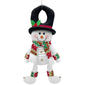 Snowman Springeez - image 1
