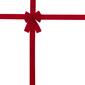 Northlight Seasonal 14in. Classic Red Velvet Christmas Door Bow - image 4