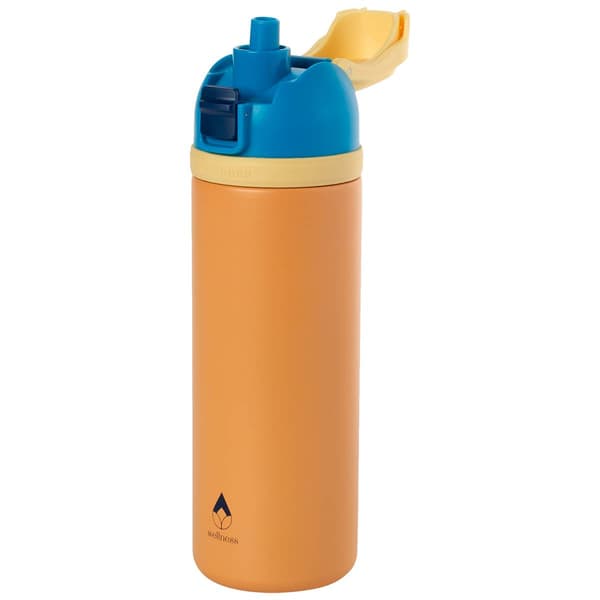 Wellness 24oz. Double Wall Insulated Revive Bottle - Peach - image 