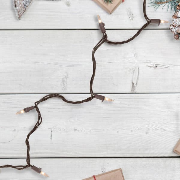 Northlight Seasonal 4ft. Brown Wire Mini Christmas Light Set