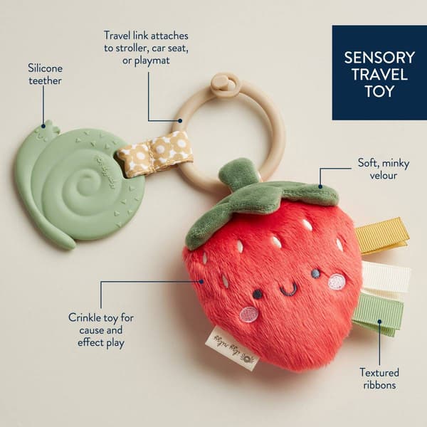 Itzy Ritzy Plush Strawberry with Silicone Snail Teether