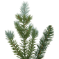 Northlight Real Touch™ 36in. Blue Spruce Christmas Wreath - image 4