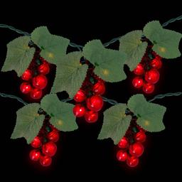 Northlight Seasonal 5 Red Grape Cluster String Lights