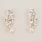 Rosa Rhinestones Glitz Crawler Earrings - image 1