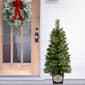 Puleo International 2pc. Cashmere Pre-Lit Potted Christmas Trees - image 2