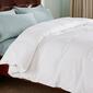 St. James Home Classic Cotton Down Comforter - image 4