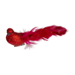 Northlight Bird With Feather Tail Christmas Clip On Ornament - image 3