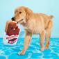 Bark Grand Slam Ice Cream Sandwich Dog Toy - image 2
