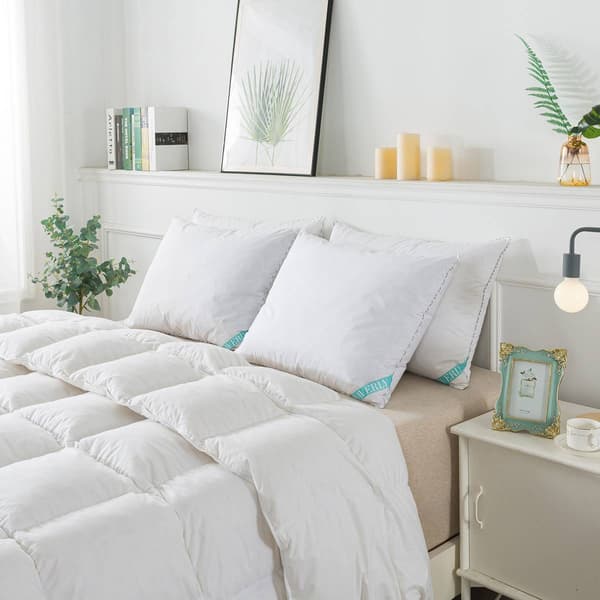 Waverly Antimicrobial Goose Nano Feather Pillows 2 Pack Boscov's