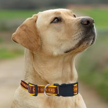 washington commanders dog collar