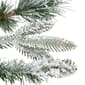 Northlight Seasonal 9ft. Rosemary Artificial Christmas Garland - image 6