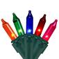 Northlight Seasonal 50 Multi-Colored Mini Christmas Lights - image 1