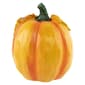 Northlight Seasonal 7in. Welcome Harvest Thanksgiving Figurine - image 6