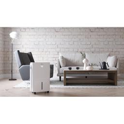 Freonic 35pt. Dehumidifier