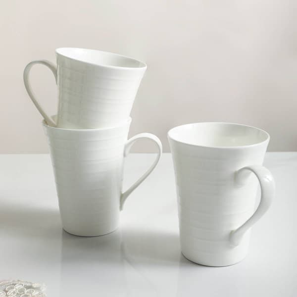 Stone Lain Eleanor 16pc. Bone China Dinnerware Set