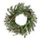 National Tree 28in. Holly & White Mixed Greenery Wreath w/ LED - image 1