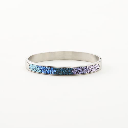 Stainless Steel Multi Crystal Bangle Bracelet - image 