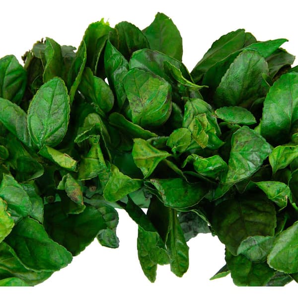 Northlight Seasonal Preserved Leaf Spring Garden Wreath